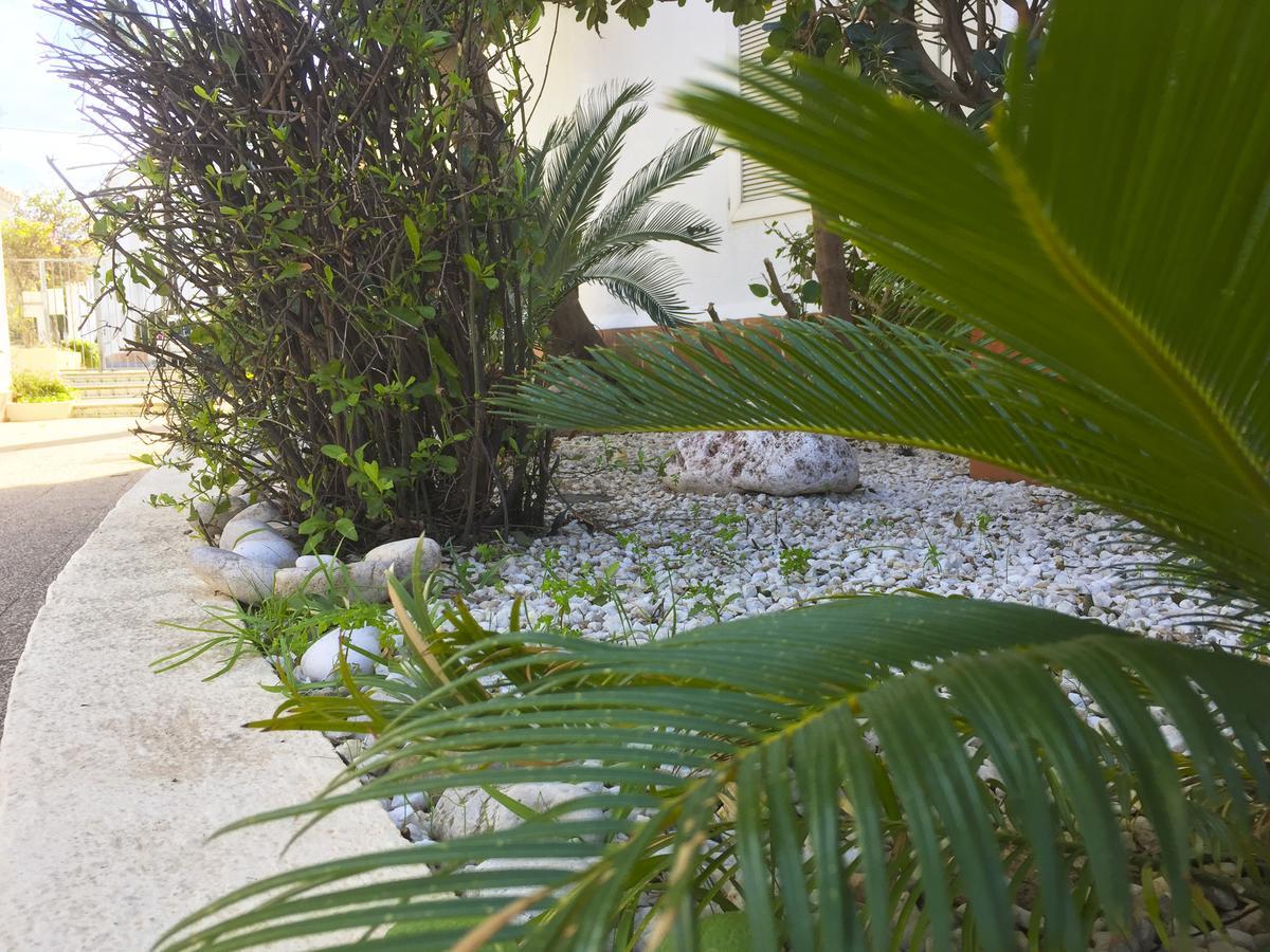 Anacasa Oasis Beach II Marineta Ap2116 Denia Luaran gambar